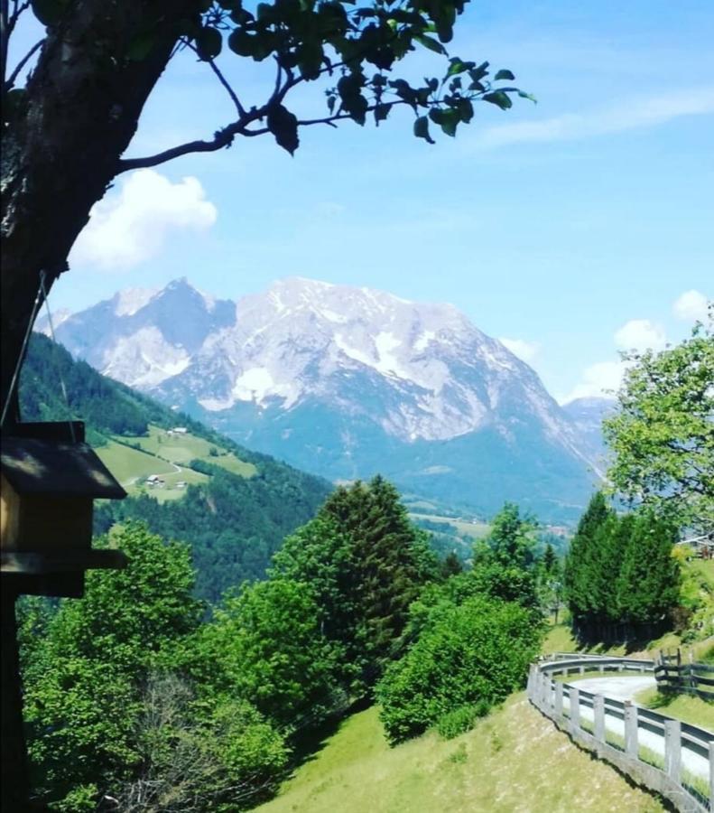 Апартаменты Bergblick Hollnhof Donnersbach Экстерьер фото